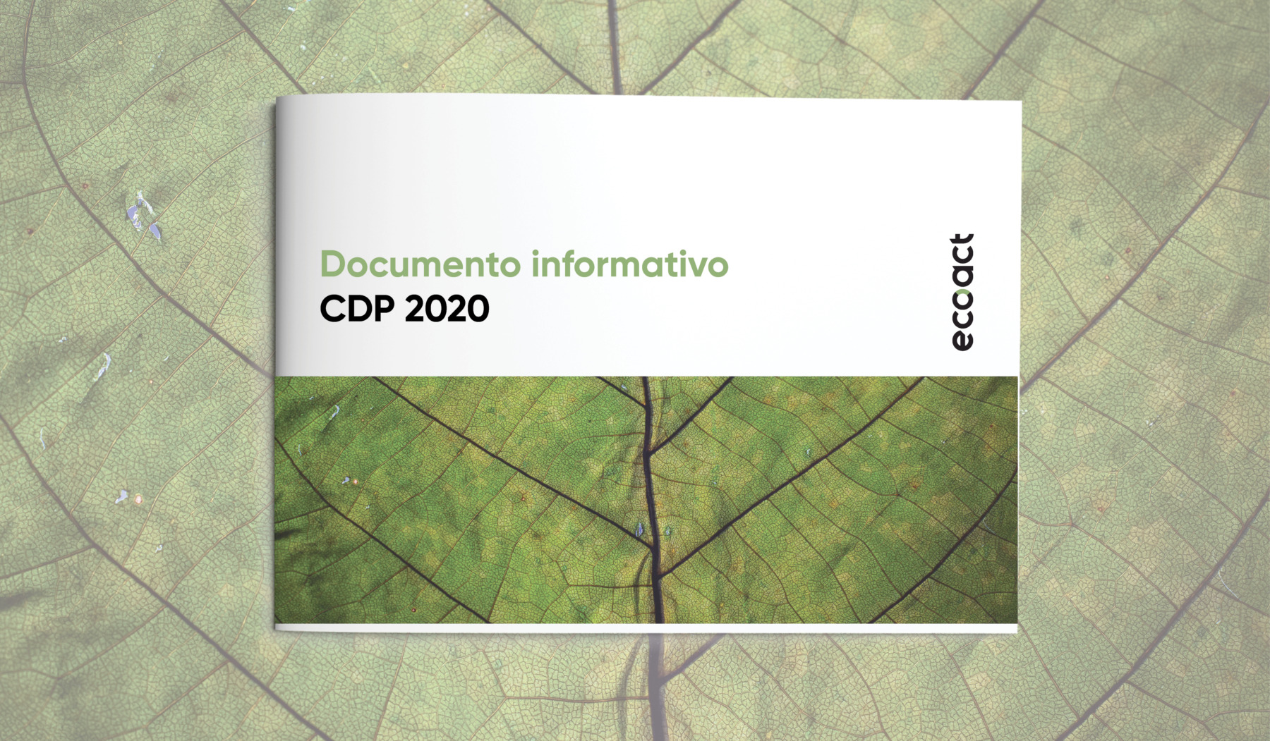 Documento informativo CDP 2020