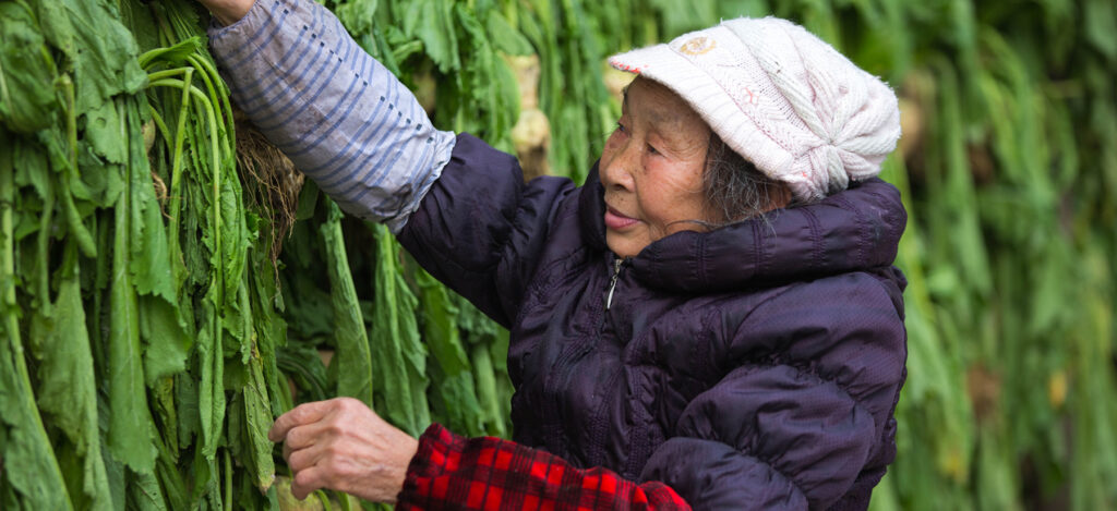 renewable energy china : local farmer working