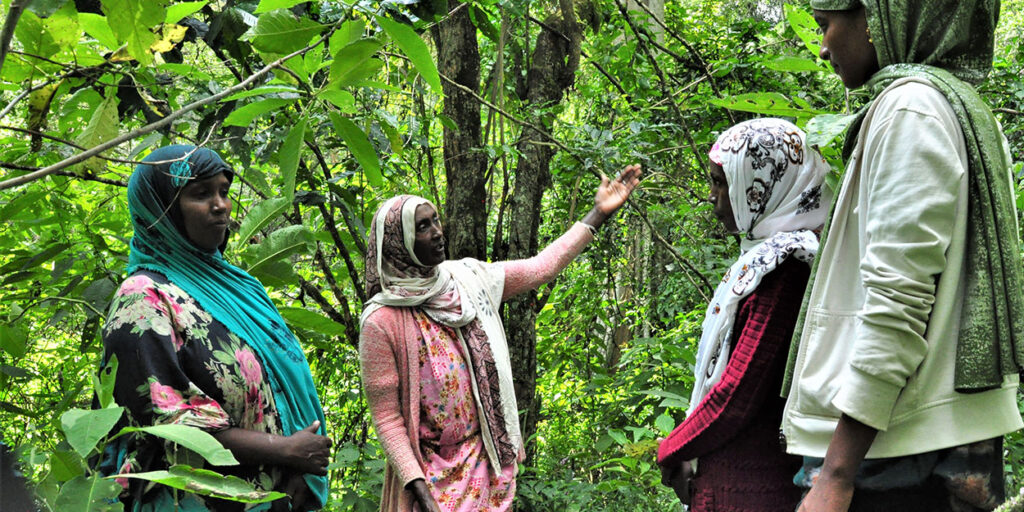 International Women's Day: How nature-based solutions support and empower women International Womens Day 2022 © EcoAct- Farm Africa-Medhanit Gebrmichael