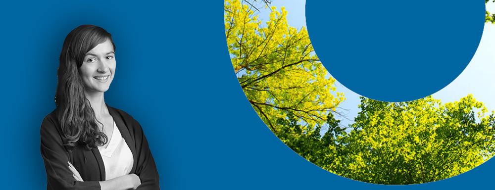 Stories from the field: Women and sustainable development Women and sustainable development