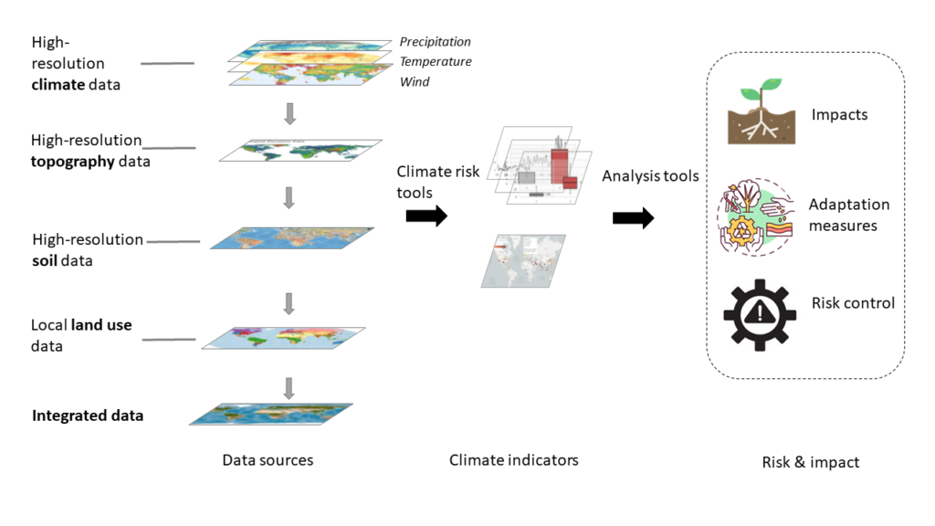 Climate data analytics EcoAct